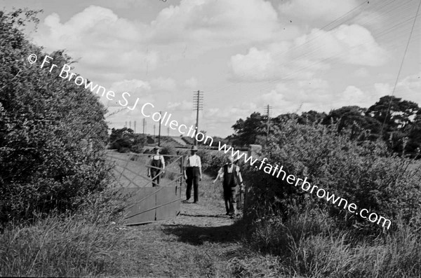 HARVEST LABOURERS